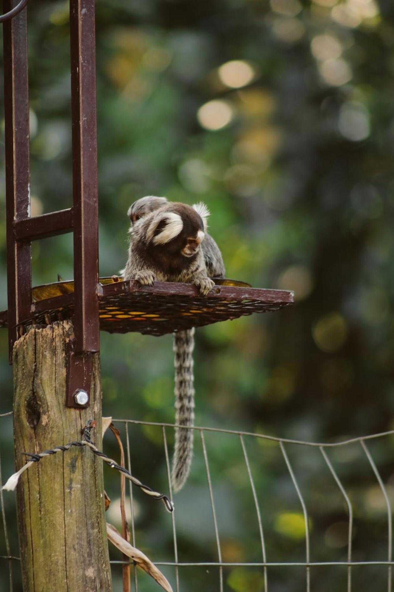 Pousada Recanto Jota Ge Parati Esterno foto